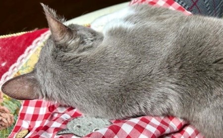 8ee5c673-249a-43c7-8a81-c9d996f06774