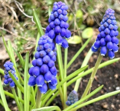 thumbnail_IMG_4913