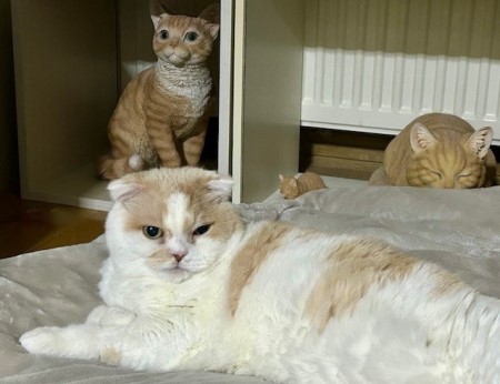 thumbnail_IMG_8758 (2)