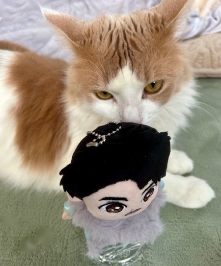 ef1c8fb1-71cc-450a-8602-b1331bca6782