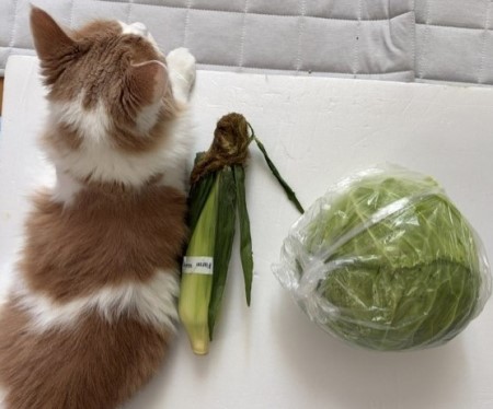 bd2f66dd-9390-43c0-8d25-091a5c21919c