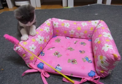 「猫だらけ」