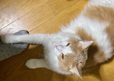 thumbnail_IMG_2939 (2)