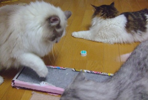 20070620145023