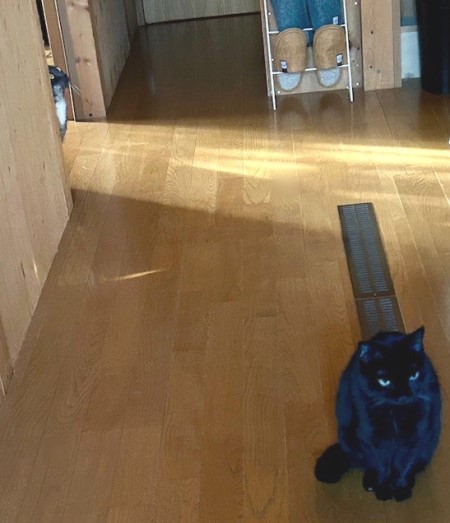 e7010791-7b22-42c8-81a2-abe8b346fc72