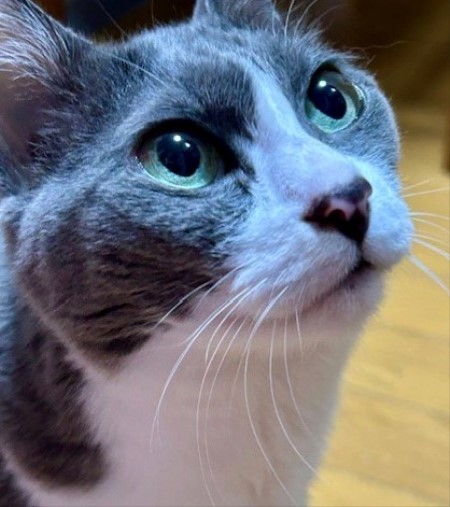 thumbnail_IMG_4597 (2)