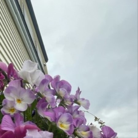 thumbnail_IMG_1203