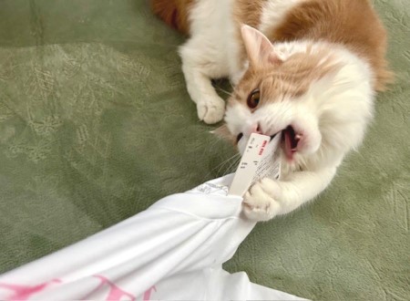 thumbnail_IMG_6725 (1)