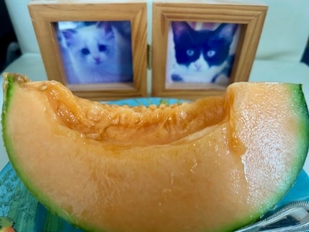 thumbnail_IMG_3176 (1)