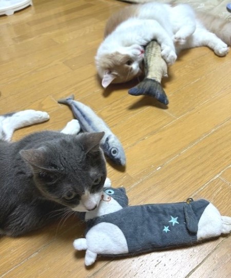 thumbnail_IMG_3087 (1)