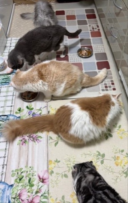 cbd32472-10eb-4027-b28f-49f6cad4cf01