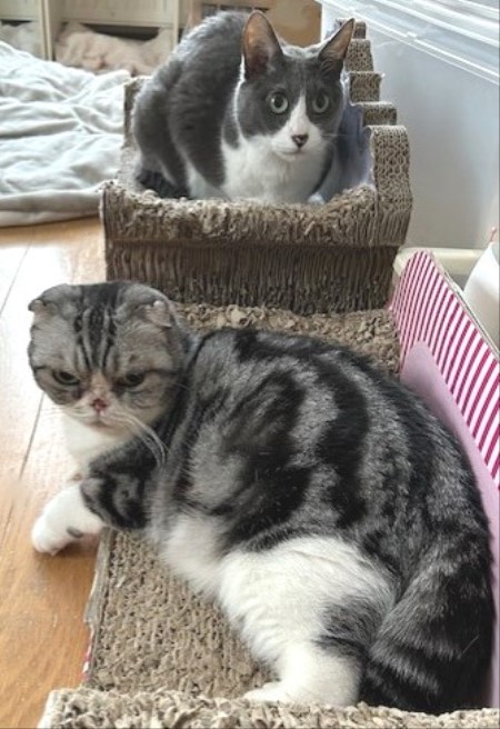 thumbnail_IMG_5864 (1)