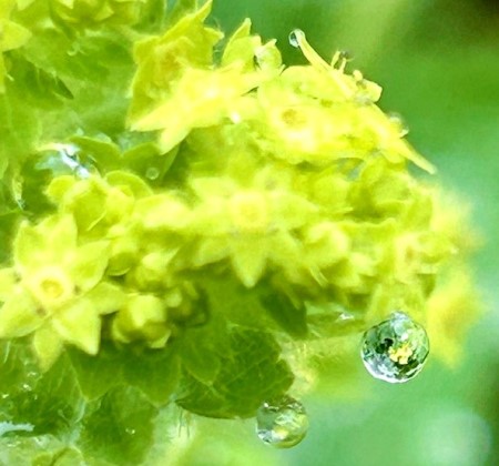 thumbnail_IMG_7707_1