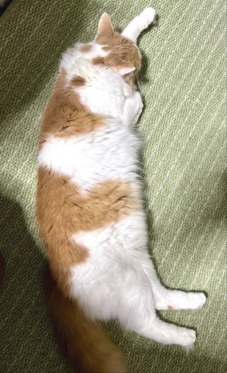 thumbnail_IMG_4923 (2)