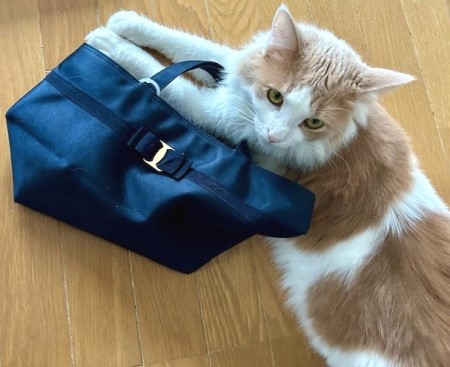 thumbnail_IMG_4558 (1)