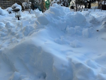 thumbnail_IMG_3623 (1)