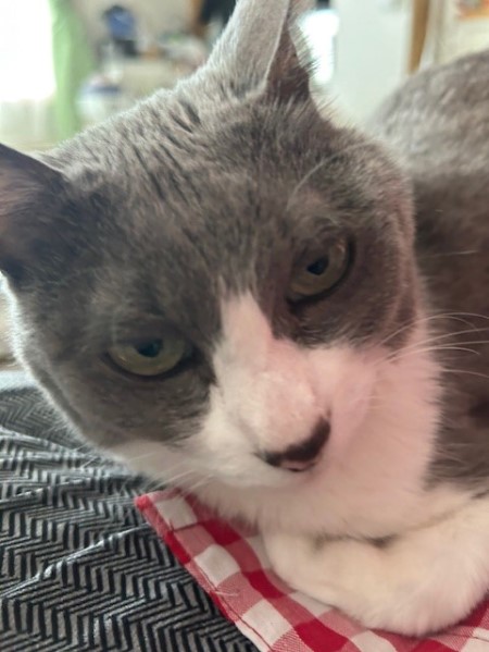 thumbnail_IMG_1195 (1)