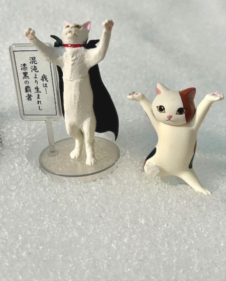 thumbnail_IMG_2346 (1)