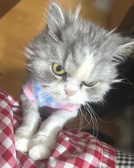 thumbnail_IMG_7830 (1)