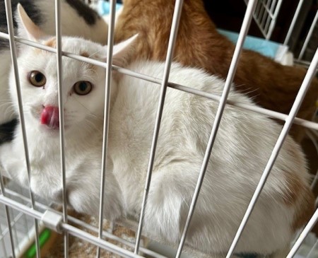 thumbnail_IMG_4009 (1)