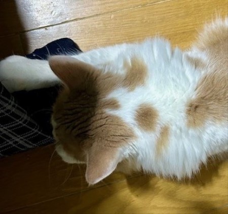 thumbnail_IMG_3539 (1)