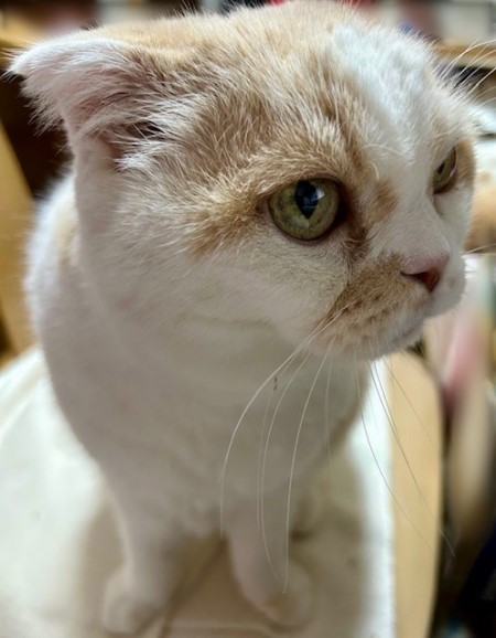 7caa5d2f-b7de-477d-9cf3-8e925806425c