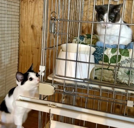 34381f50-ad82-4c13-bc35-658611922f6e