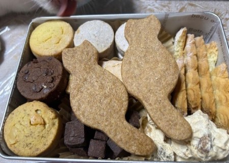 thumbnail_IMG_6940 (1)