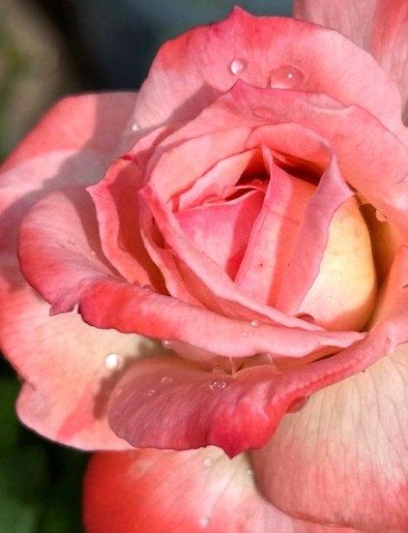 thumbnail_IMG_4545