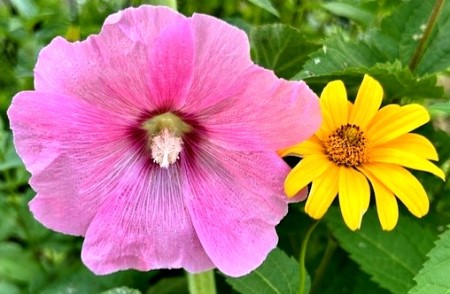 thumbnail_IMG_9535 (1)