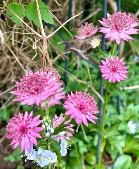 thumbnail_IMG_7270
