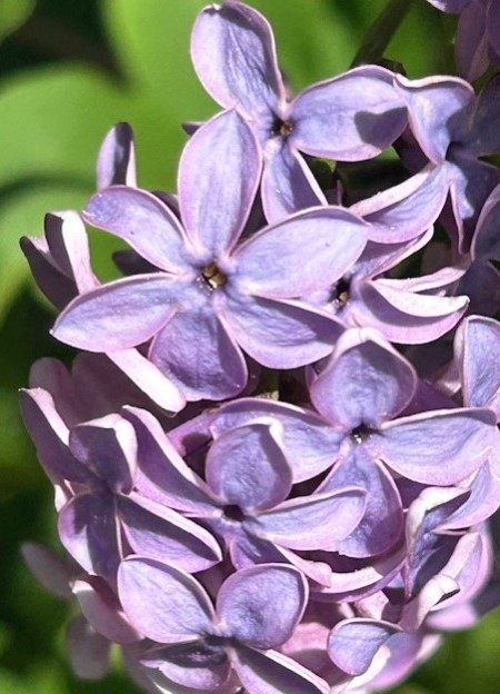 thumbnail_IMG_0159