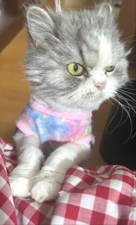 thumbnail_IMG_7832 (1)