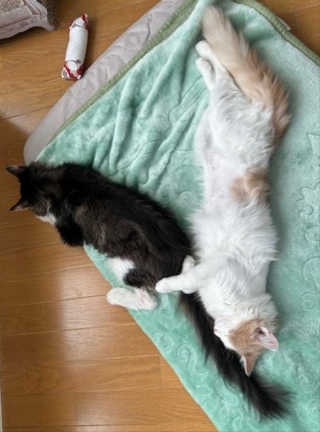 thumbnail_IMG_5300 (1)