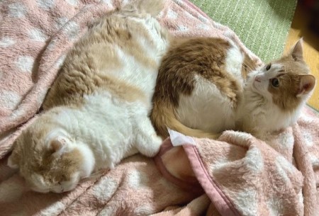 thumbnail_IMG_6188 (1)