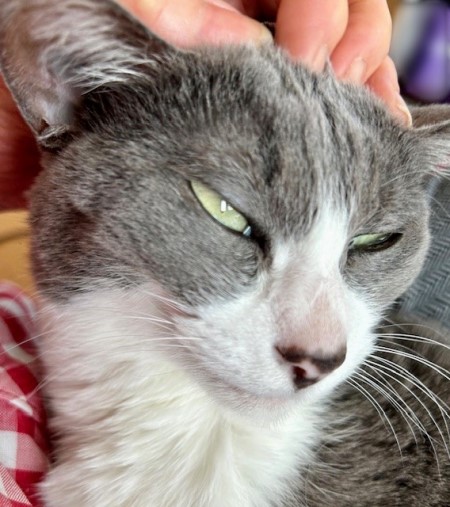 thumbnail_IMG_8478 (2)