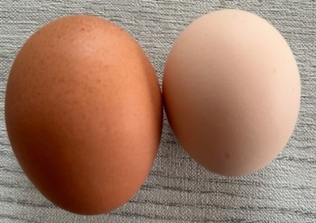 thumbnail_IMG_7834 (1)