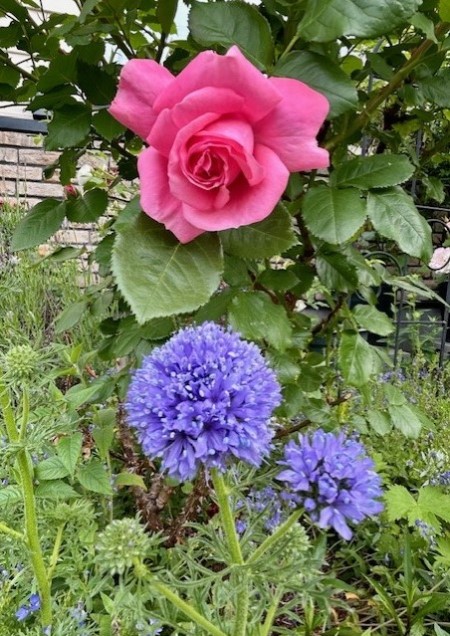 thumbnail_IMG_7984 (1)