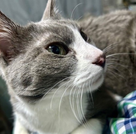 0ad4d1a6-bc36-439d-a750-bb106ef42453_1