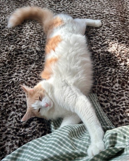 thumbnail_IMG_8624 (1)