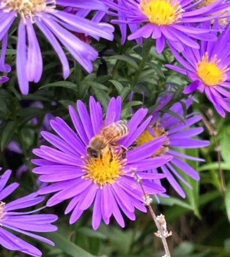 thumbnail_IMG_8909