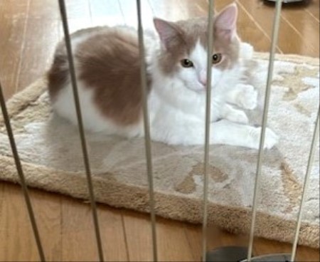 thumbnail_IMG_7911 (1)