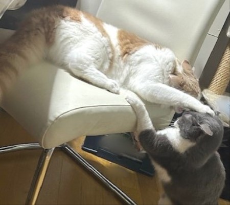 thumbnail_IMG_3764 (2)