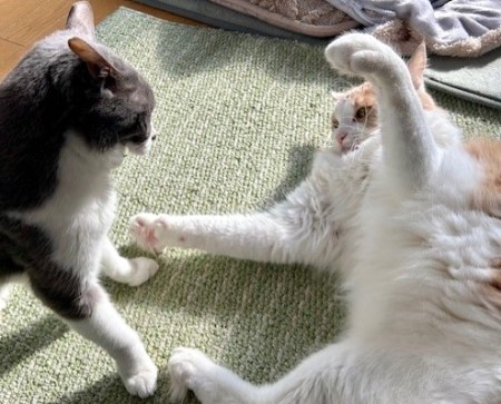 f953a340-53fc-407e-a07c-58fffdefcb70