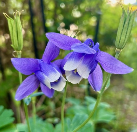 thumbnail_IMG_7302 (1)