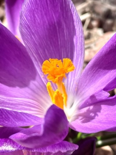 thumbnail_IMG_8638