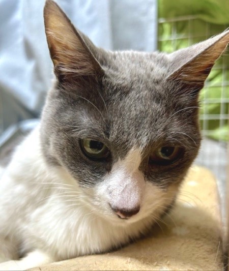 e040bdc1-22f3-4a1b-bae7-079d3a7acee2