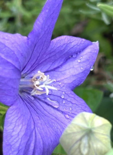 thumbnail_IMG_2975 (1)