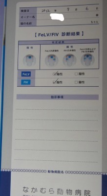 「猫だらけ」
