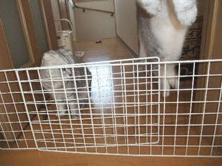 2008_09260038